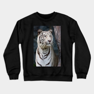 White Tiger portrait Crewneck Sweatshirt